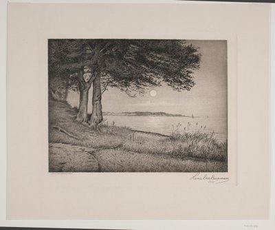 Vejle-Fjord von Hans Christian Gether Caspersen