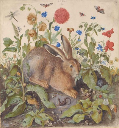 Ein Hase zwischen Pflanzen von Hans Hoffmann