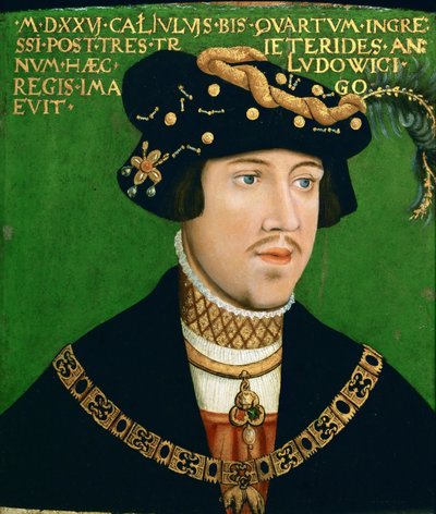 Porträt von Ludwig II., König von Ungarn (1506-1526) von Hans Krell