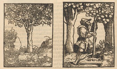 Baum und Darstellung eines Obstpflückers zwischen Bäumen von Hans Schäufelein (possibly)