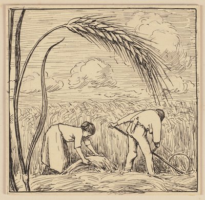 Zeichnung für das Lesebuch: Maiskolben von Hans Thoma