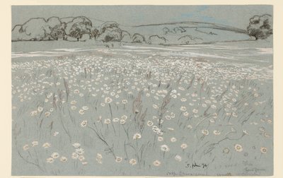 Wiese mit Gänseblümchen von Hans Thoma