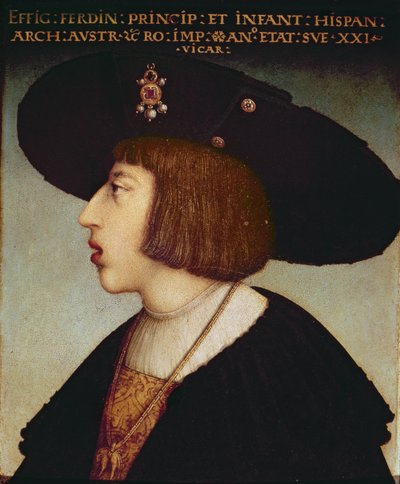 Porträt von Ferdinand I., Heiliger Römischer Kaiser von Hans or Johan Maler