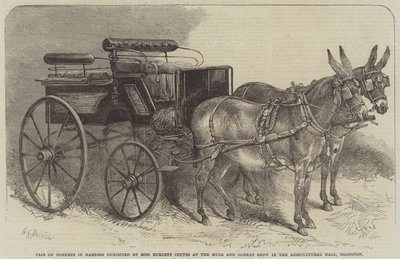 Paar Esel im Geschirr, ausgestellt von Miss Burdett Coutts auf der Maultier- und Eselshow in der Agricultural Hall, Islington von Harden Sidney Melville
