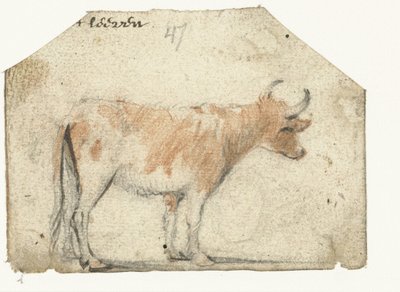 Kuh, von der Seite von Harmen ter Borch