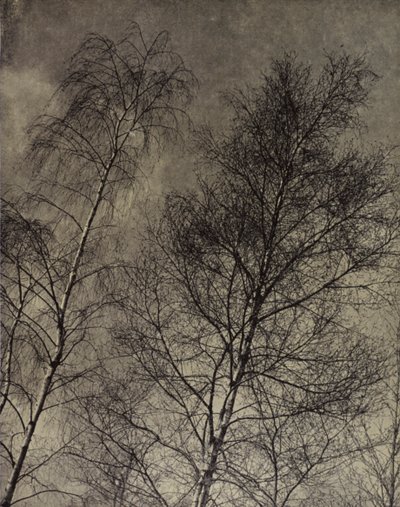 ... ihr Charme ist entlang eines flüssigen Himmels geschrieben, Robert Bridges von Harold Burdekin