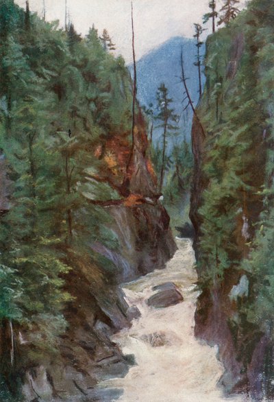 Capilano Canyon, nahe North Vancouver von Harold Copping
