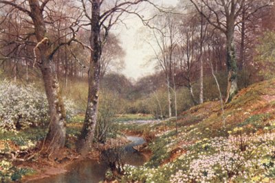 Frühlingsblüten, nahe Dorking von Harold Sutton Palmer