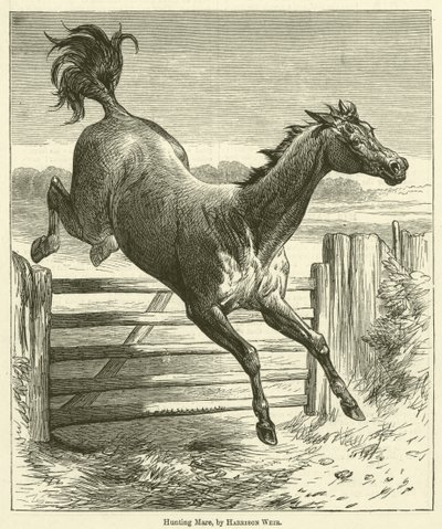 Jagdstute von Harrison William Weir