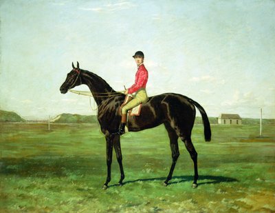 Ein Rennpferd mit einem Jockey auf der Rennstrecke in Newmarket von Harry Hall