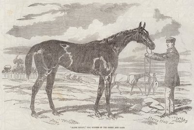 Blink Bonny, der Gewinner des Derbys und der Oaks von Harry Hall