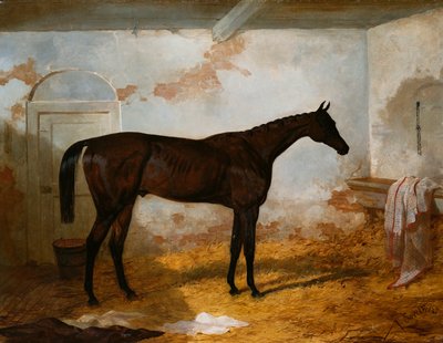 Mr. A.W. Hills Bay-Hengst "Sweetmeat" in einer Box, 1845 von Harry Hall