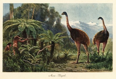 Moa-Vögel, die von Männern mit Pfeil und Bogen gejagt werden von Heinrich Harder