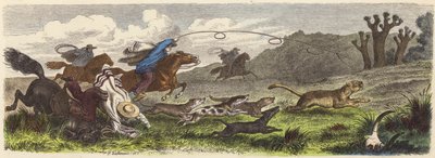 Puma-Jagd mit Lassos in Brasilien von Heinrich Leutemann