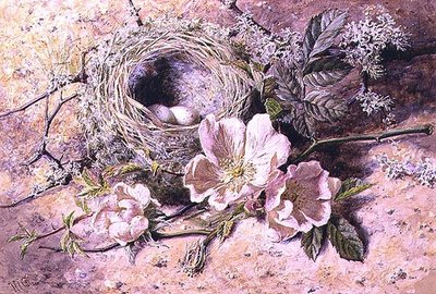 Blüte und Vogelnest von Helen Cordelia Coleman Angell