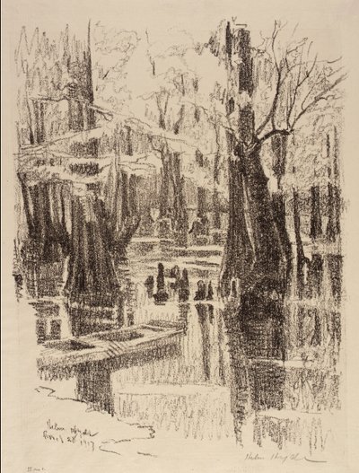 Zypressensumpf von Helen Hyde