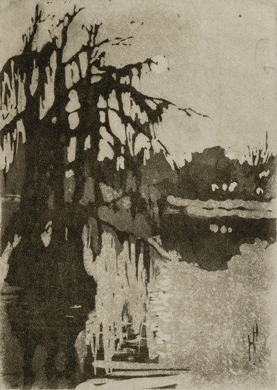 Zypressen von Helen Hyde