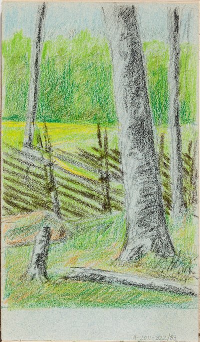 Ohne Titel von Helene Schjerfbeck