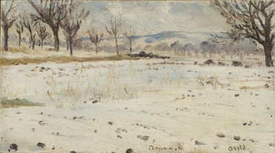 Bonn am Rhein. Winterlandschaft von Helmer Osslund
