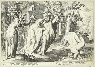 Phaetons Schwestern verwandeln sich in Pappeln und Cygnus in einen Schwan von Hendrick Goltzius