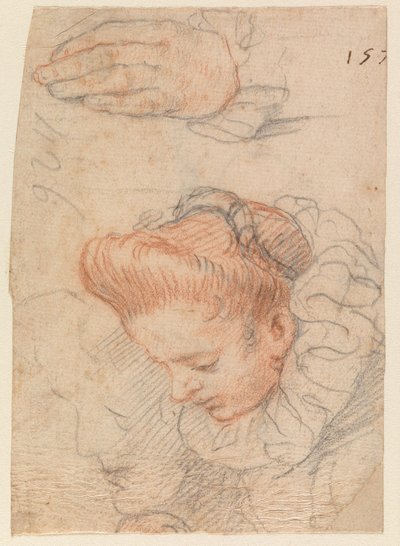 Skizzenblatt mit Frauenkopf und Hand von Hendrick Goltzius