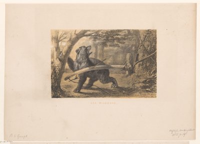 Bär in einer Falle von Hendrik Adriaan Christiaan Dekker