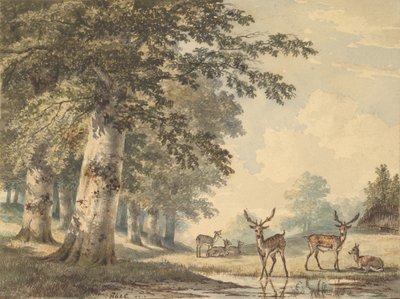 Hirsche unter Buchen im Winter, 1853 von Hendrik Gerrit ten Cate