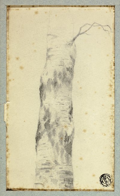 Skizze eines Baumstamms von Hendrik Pieter Koekkoek