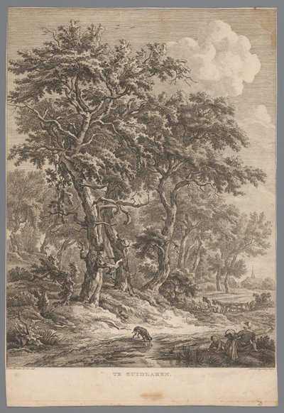 Landschaft bei Zuidlaren von Hendrik Schwegman
