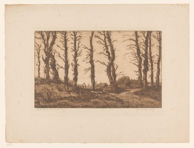 Oud Blaricummerweg von Hendrik Weegewijs (signed by artist)