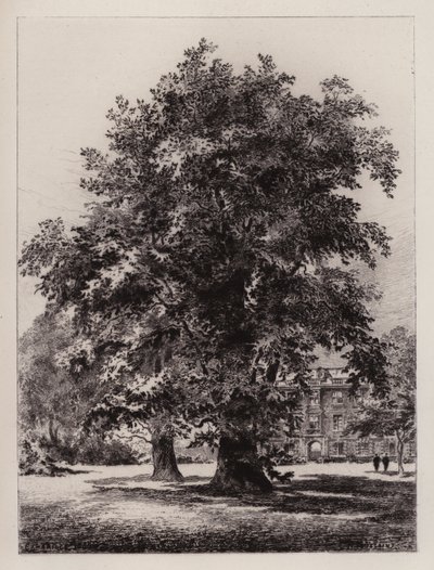 Cambridge: Der Garten des Christ