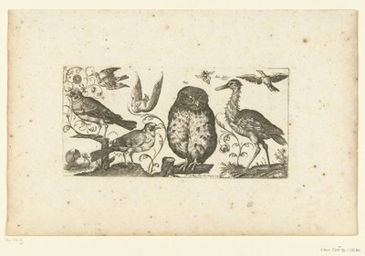 Neun Vögel und ein Insekt von Henri Le Roy