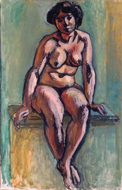 Sitzender Akt von Henri Matisse
