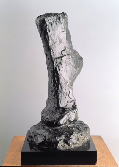 Studie eines Fußes von Henri Matisse