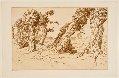 Knotige Baumstämme von Henri Rivière