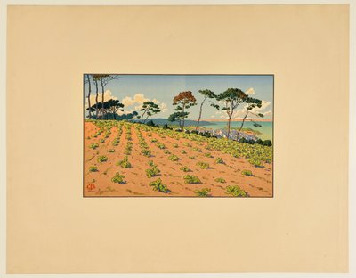 [Douarnenez von der Straße des Ris aus gesehen] von Henri Rivière