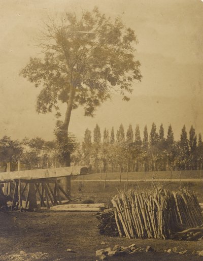 Landschaft mit Ballen von geschnittenen Baumzweigen von Henri Victor Regnault