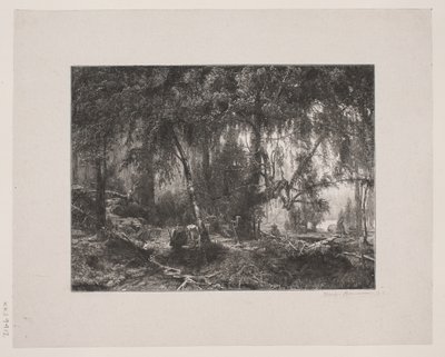 Skovinteriør von Henrik Bornemann