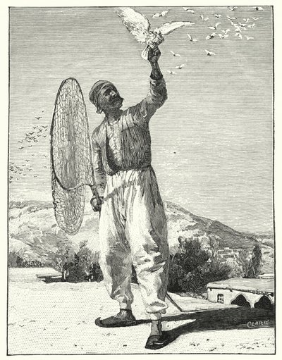 Vögel auf dem Dach im Osten fangen (Lithografie) von Henry Andrew Harper