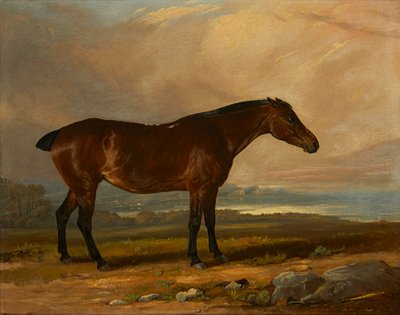 Studie eines Bay Hunters in einer Landschaft von Henry Calvert