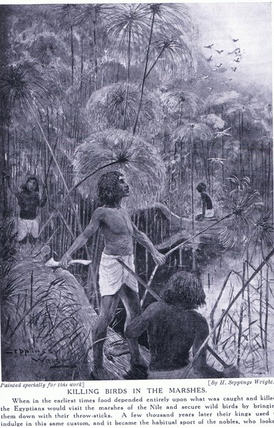 Vogeljagd in den Sümpfen, ca. 1920 von Henry Charles Seppings Wright