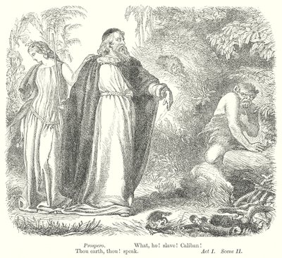 Der Sturm (Gravur) von Henry Courtney (after) Selous