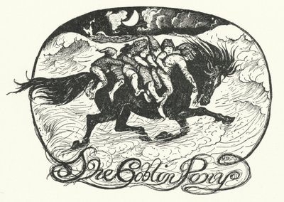 Das Koboldpony von Henry Justice Ford