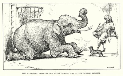 Der Elefant fällt vor dem kleinen schottischen Terrier auf die Knie von Henry Justice Ford