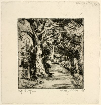 Waldweg. Riis Wald von Henry Nielsen