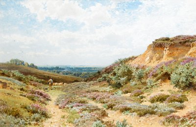 Heidekraut auf einer Heide in Surrey von Henry Sutton Palmer
