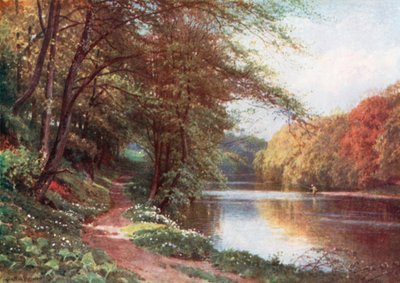 Am Fluss Ayr, Ayrshire von Henry Sutton Palmer