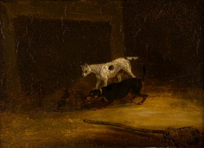 Zwei Terrier versuchen, eine Ratte in einer Falle zu erreichen von Henry Thomas (follower of) Alken