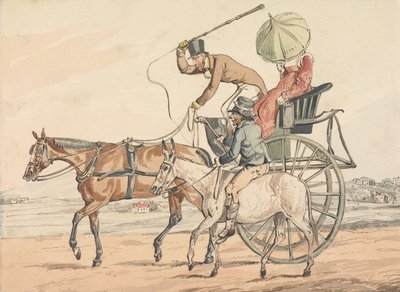 "Sportliche Entdeckungen oder die Leiden des Fahrens:"...Sie entdecken, dass Sie einen zuverlässigen haben von Henry Thomas Alken