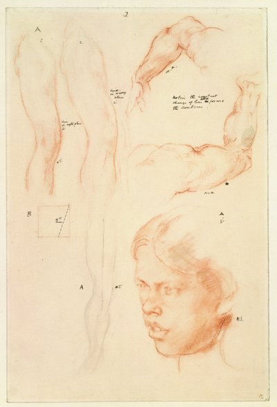Anotierte Demonstration: Zeichnungen und eine Studie eines Mädchens (Bleistift und Kreide auf Papier) von Henry Tonks